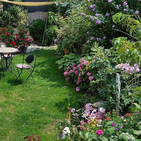 Ferienwohnung Am Berg, 35Qm Rickenbach  ภายนอก รูปภาพ