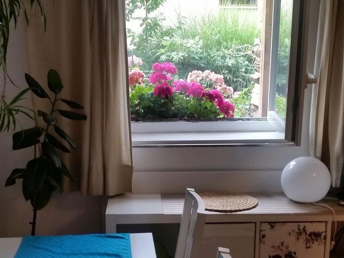 Ferienwohnung Am Berg, 35Qm Rickenbach  ภายนอก รูปภาพ
