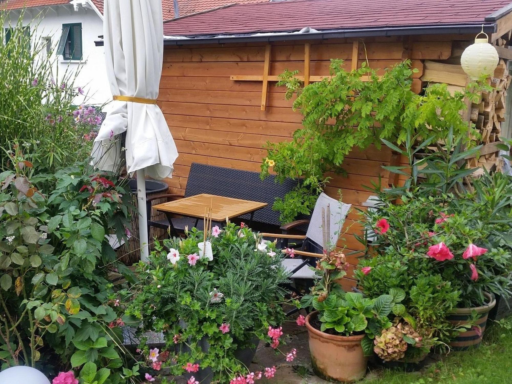 Ferienwohnung Am Berg, 35Qm Rickenbach  ภายนอก รูปภาพ