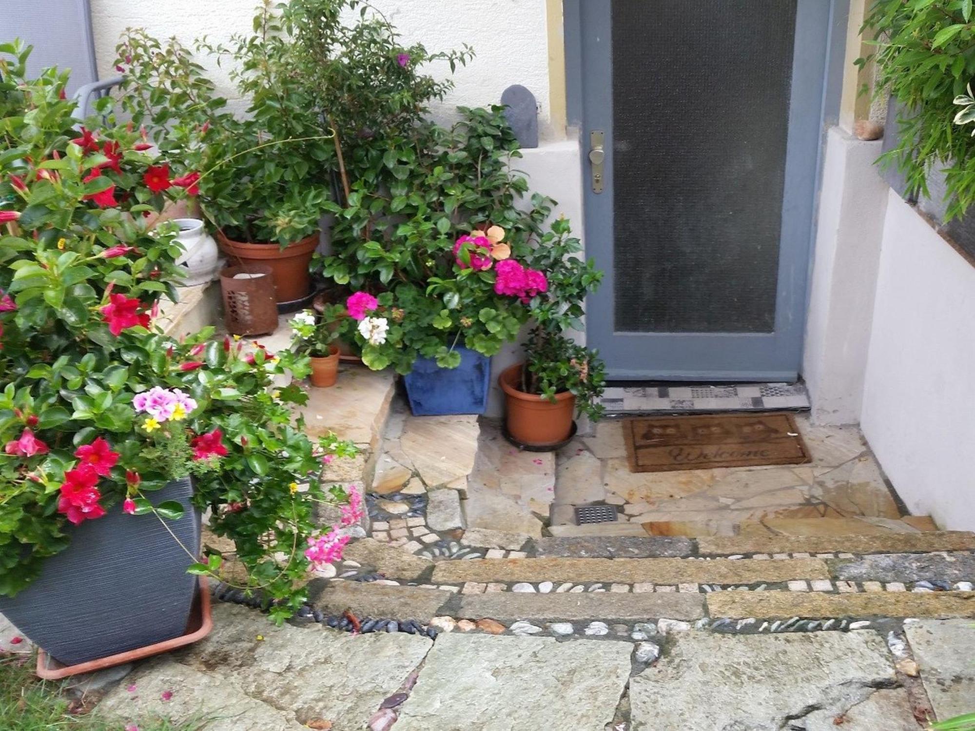 Ferienwohnung Am Berg, 35Qm Rickenbach  ภายนอก รูปภาพ